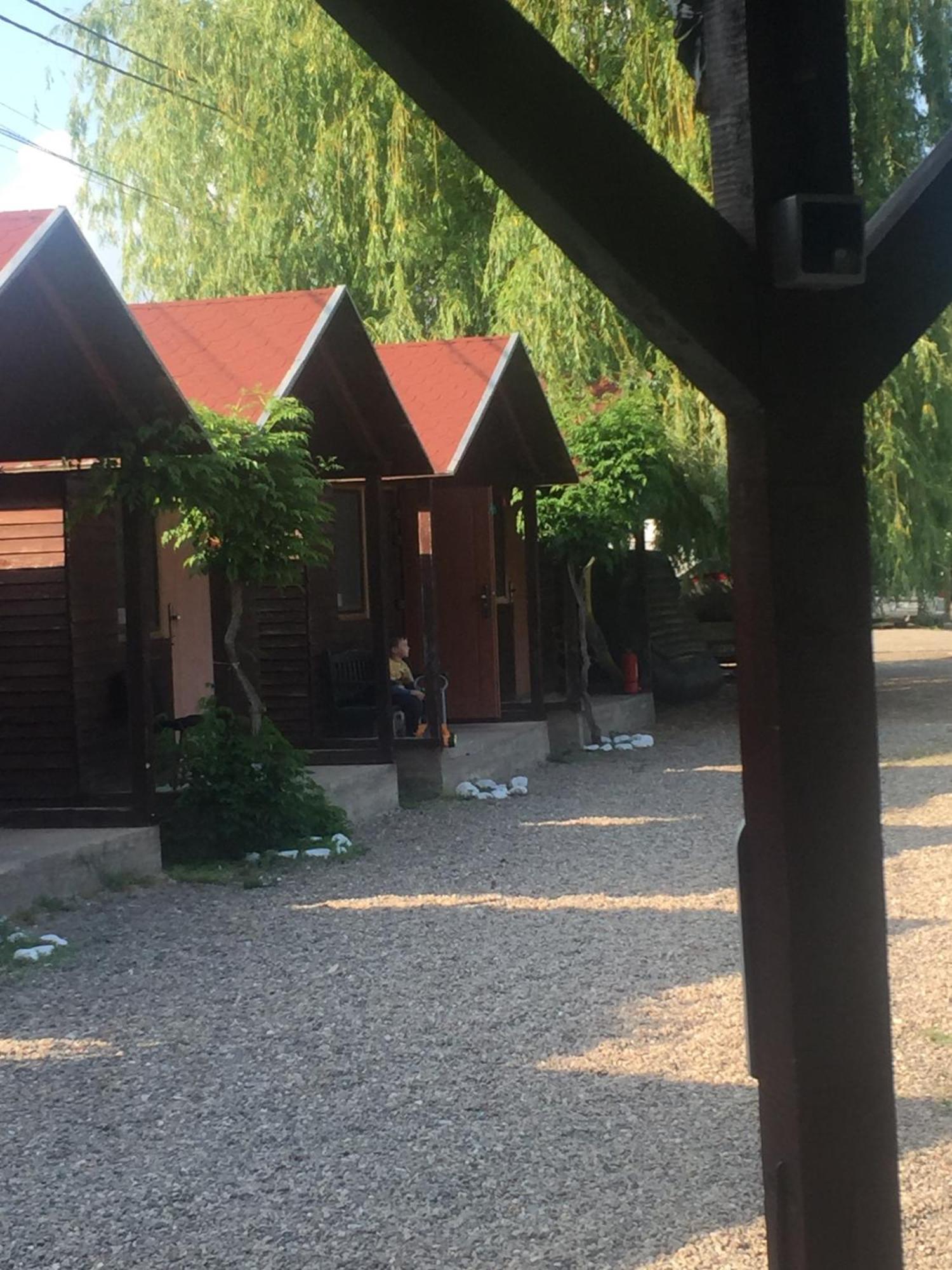 Rafting & Via Ferrata Base Camp Hotel Vadu Crisului Exterior photo